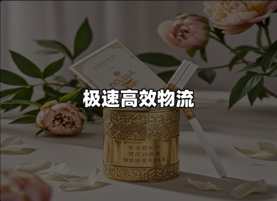 专业优势